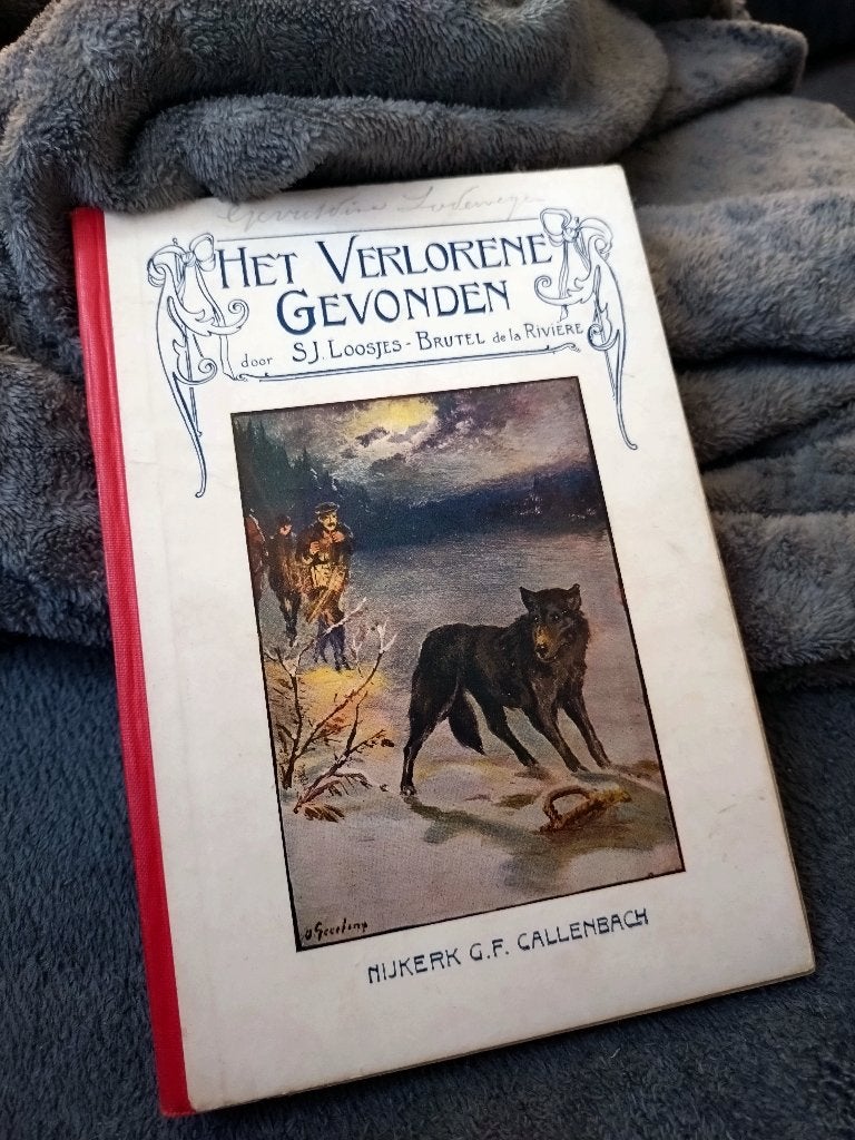 het verlorene gevonden, Boeken, Gelezen, S. J. Loosjes- Brutel de la Riviere, Christendom | Protestants, Ophalen of Verzenden
