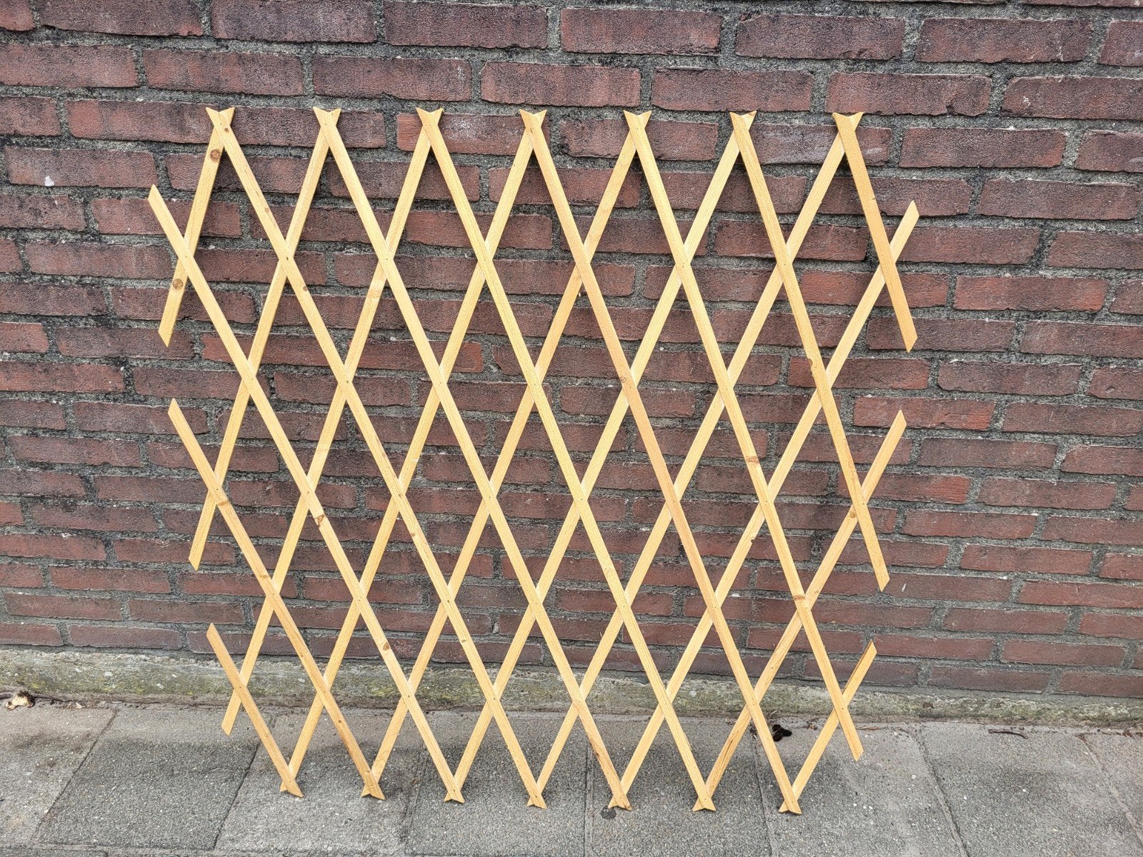 5x Harmonicarek / trellis / schaarrek, Tuin en Terras, Ophalen of Verzenden, Nieuw, Hout