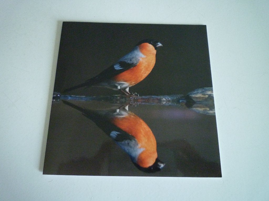 Goudvink vogels Vogelbescherming kaart, Ophalen of Verzenden, Voor 1920, Vogel