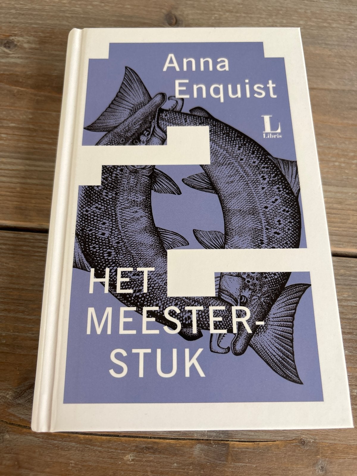 Het Meesterstuk - Anna Enquist (Mooi gebonden uitgave), Ophalen of Verzenden, Zo goed als nieuw