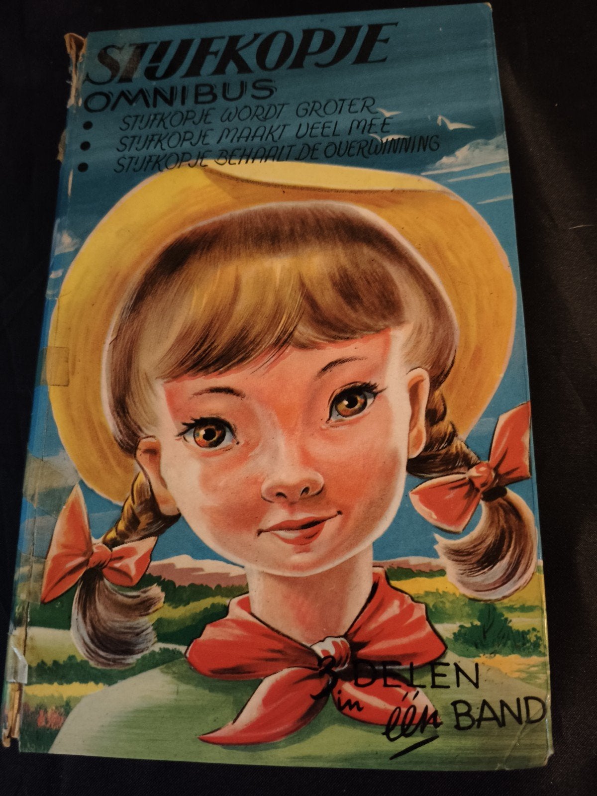Stijfkopje Omnibus - Ankie Aalders (Vintage Boek), Boeken, Ophalen of Verzenden, Gelezen