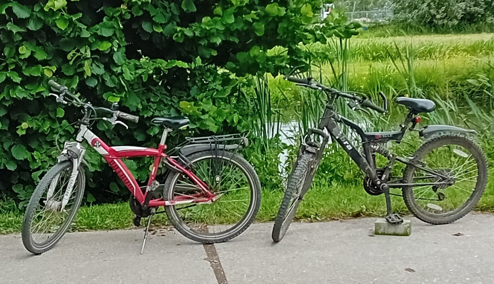 fietsen batavus en cobra, Ophalen, Terugtraprem, Gebruikt, Batavus en cobra