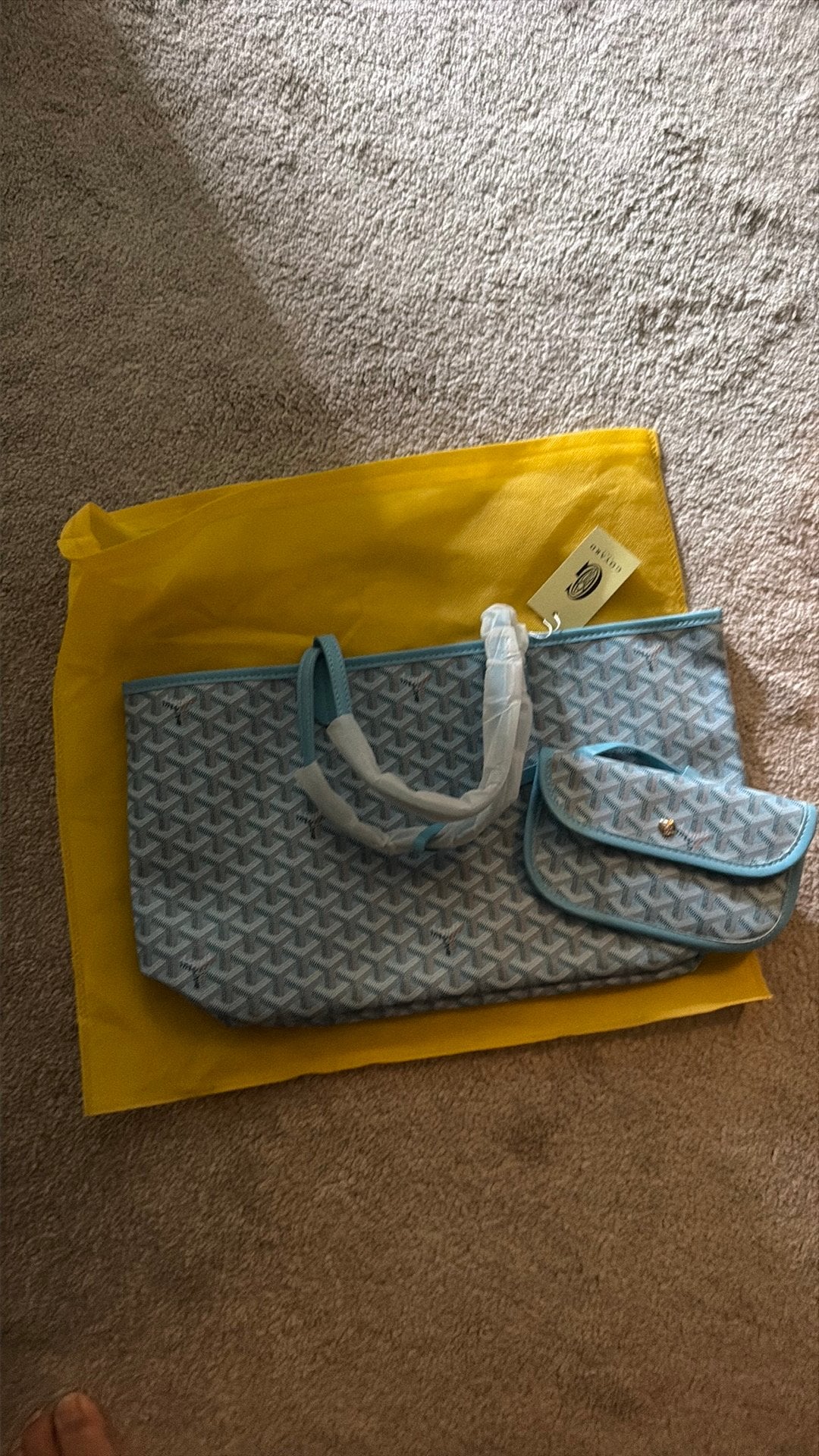 Goyard tas dames, Ophalen of Verzenden, Nieuw, Blauw