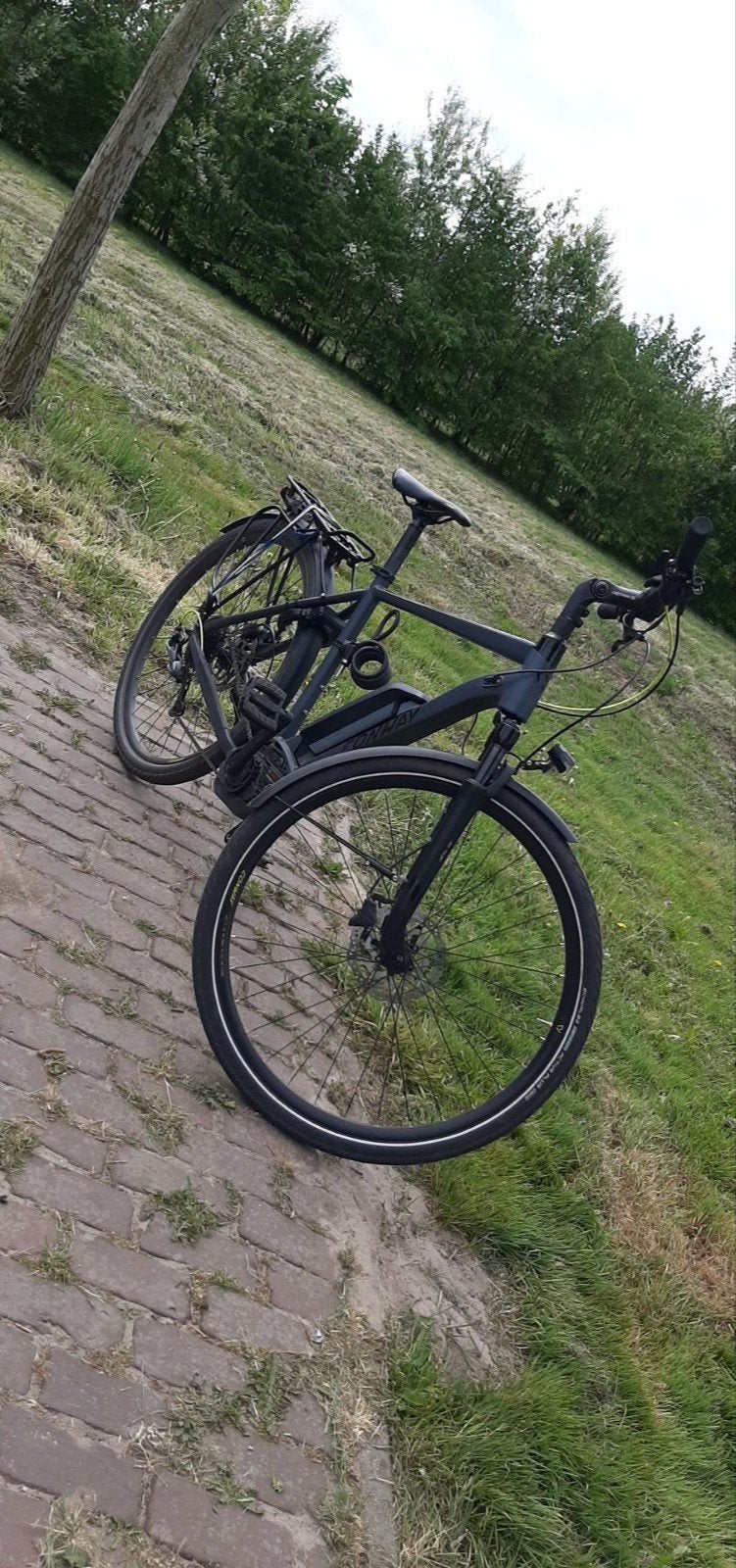 Conway Speed Pedelec met Bosch middenmotor, Ophalen, Gebruikt, Overige merken