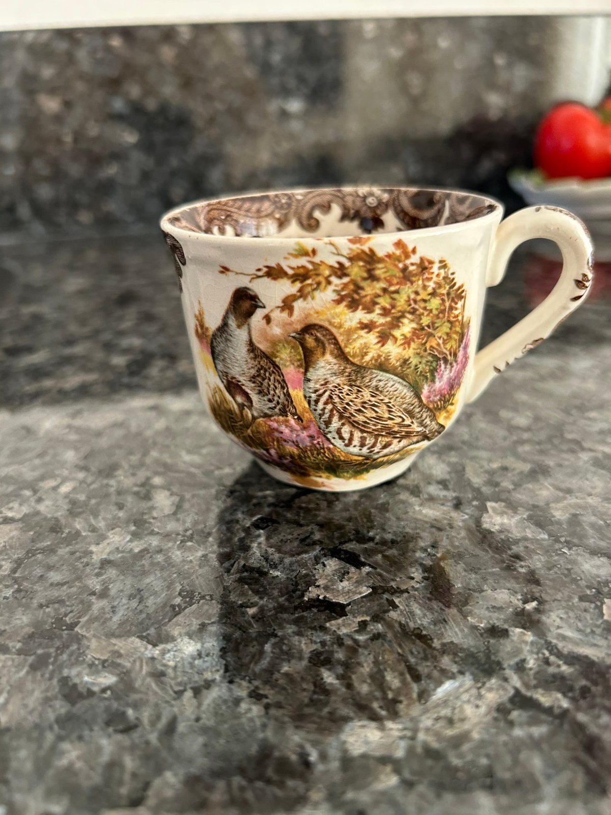 Vintage Engels theekopje Palissy Game Series Royal Worcester, Ophalen of Verzenden