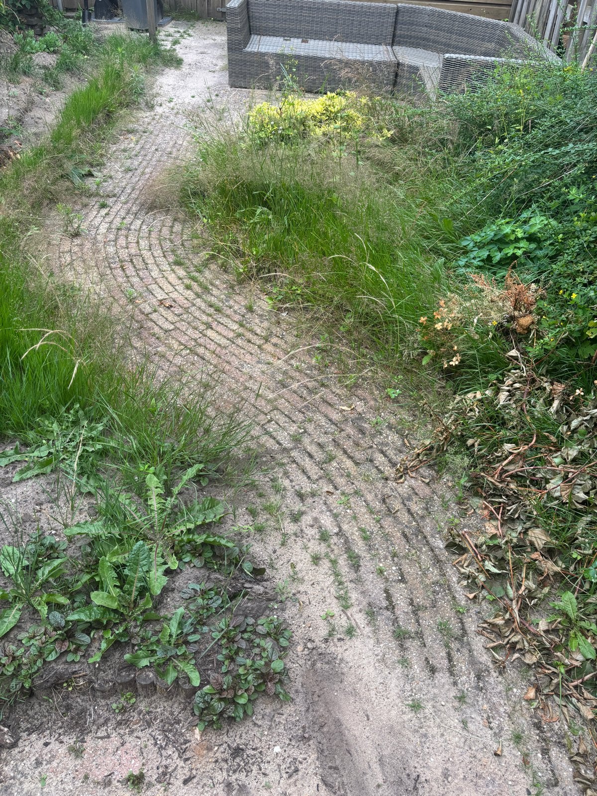 Gratis af te halen: Klinkers ca. 20m2, Ophalen, Gebruikt, Klinkers, 10 m² of meer
