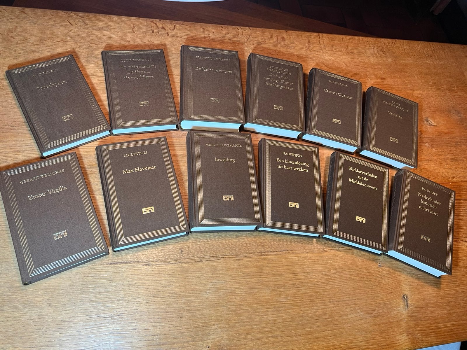 12 ONGELEZEN Complete Serie Klassieke Nederlandse Literatuur, Boeken, Ophalen of Verzenden, Zo goed als nieuw, Nederland