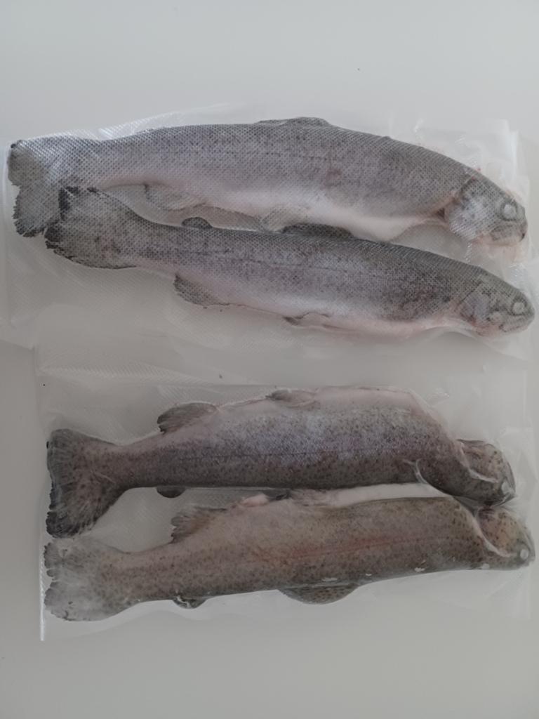 Verse en gerookte Forel 5+1gratis, Diversen, Levensmiddelen, Ophalen