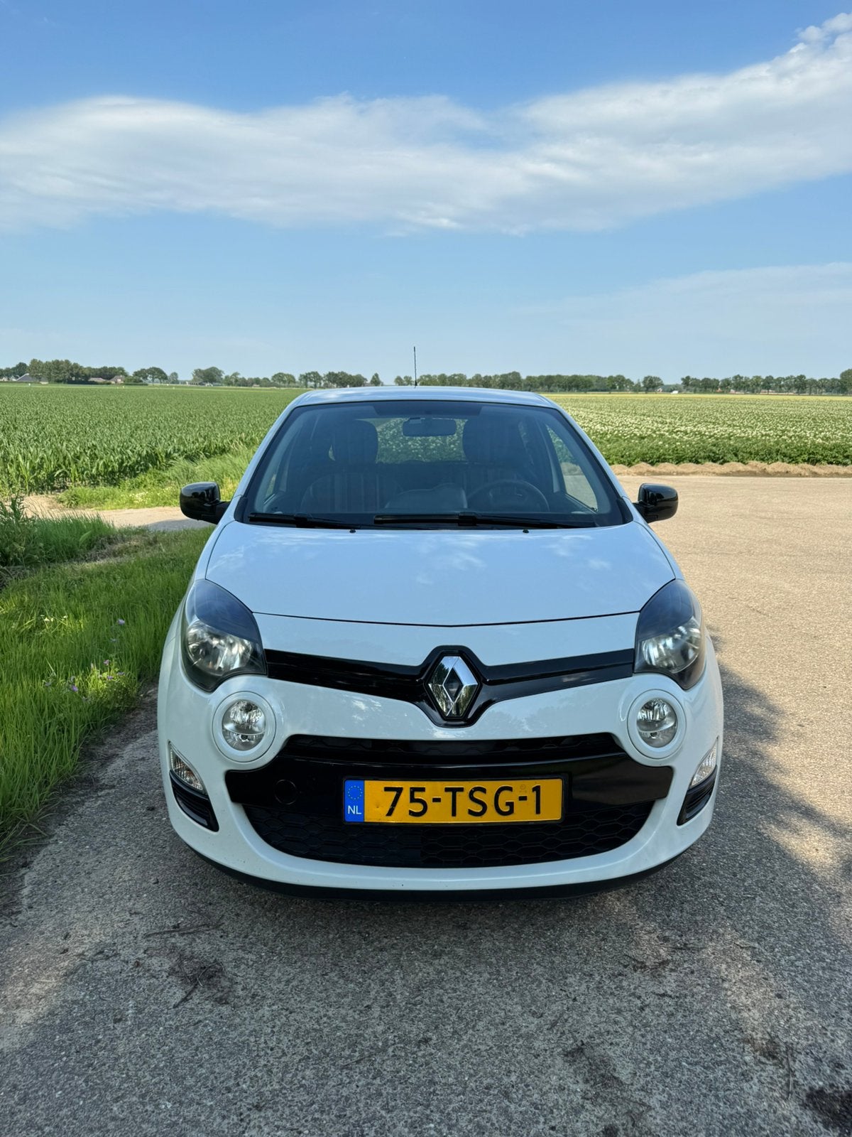 Renault Twingo 1.2 16V 2012 Wit, Voorwielaandrijving, 839 kg, Twingo, 74 pk