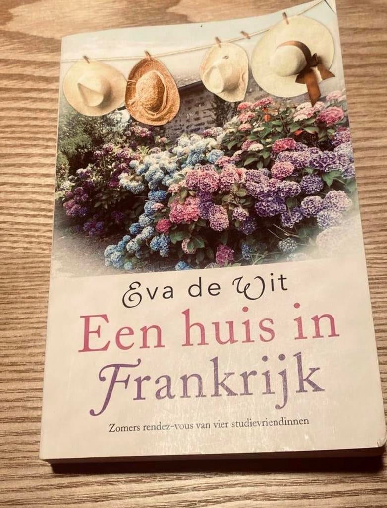 Een huis in Frankrijk - Eva de Wit (Roman), Boeken, Ophalen of Verzenden, Gelezen, Nederland