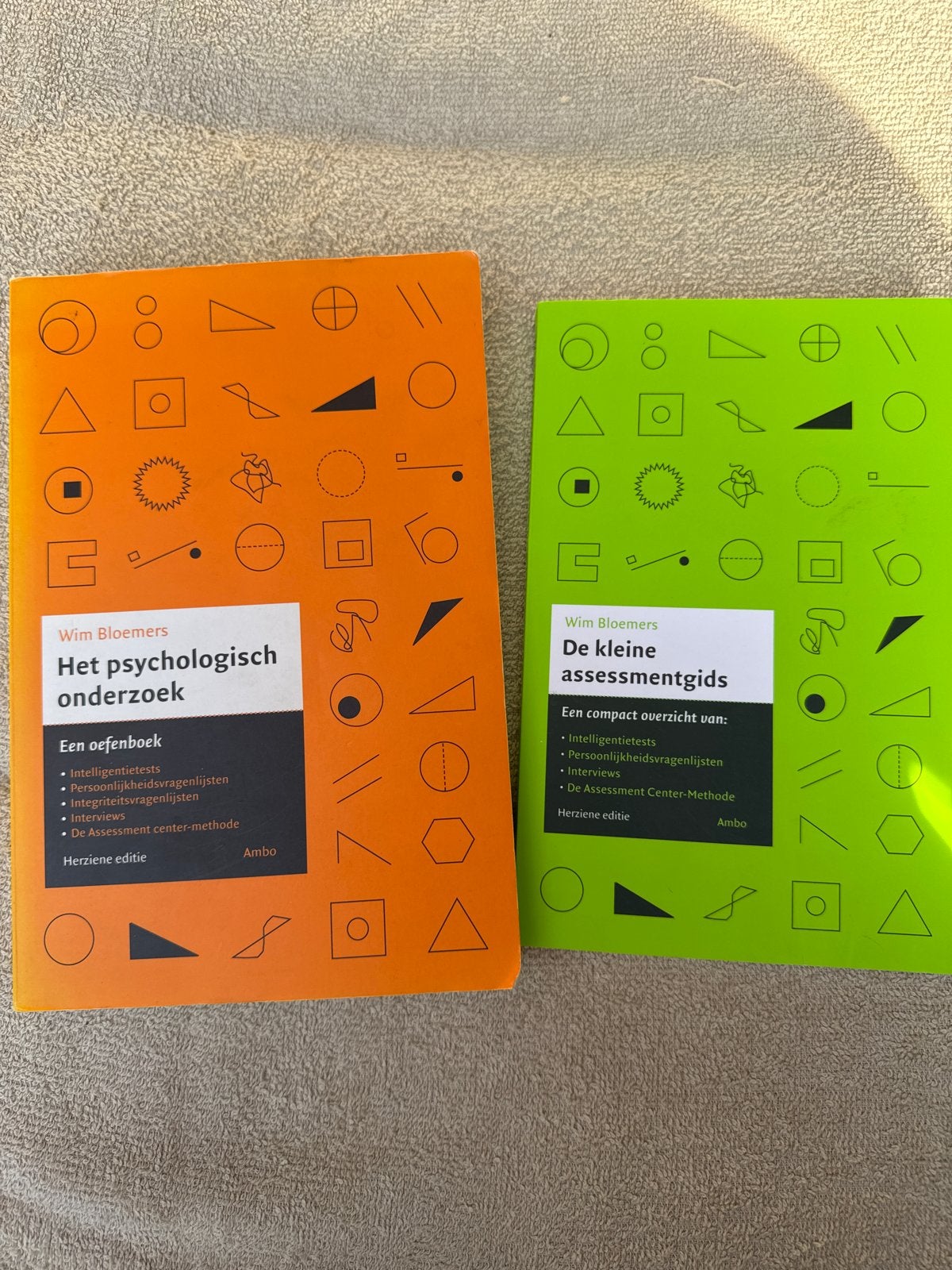 Wim Bloemers: Het psychologisch onderzoek & De kleine assess, Boeken, Ophalen of Verzenden, Gamma, Gelezen, HBO