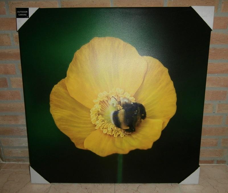 schilderij bloem, Ophalen, Nieuw, Schilderij, 75 tot 100 cm