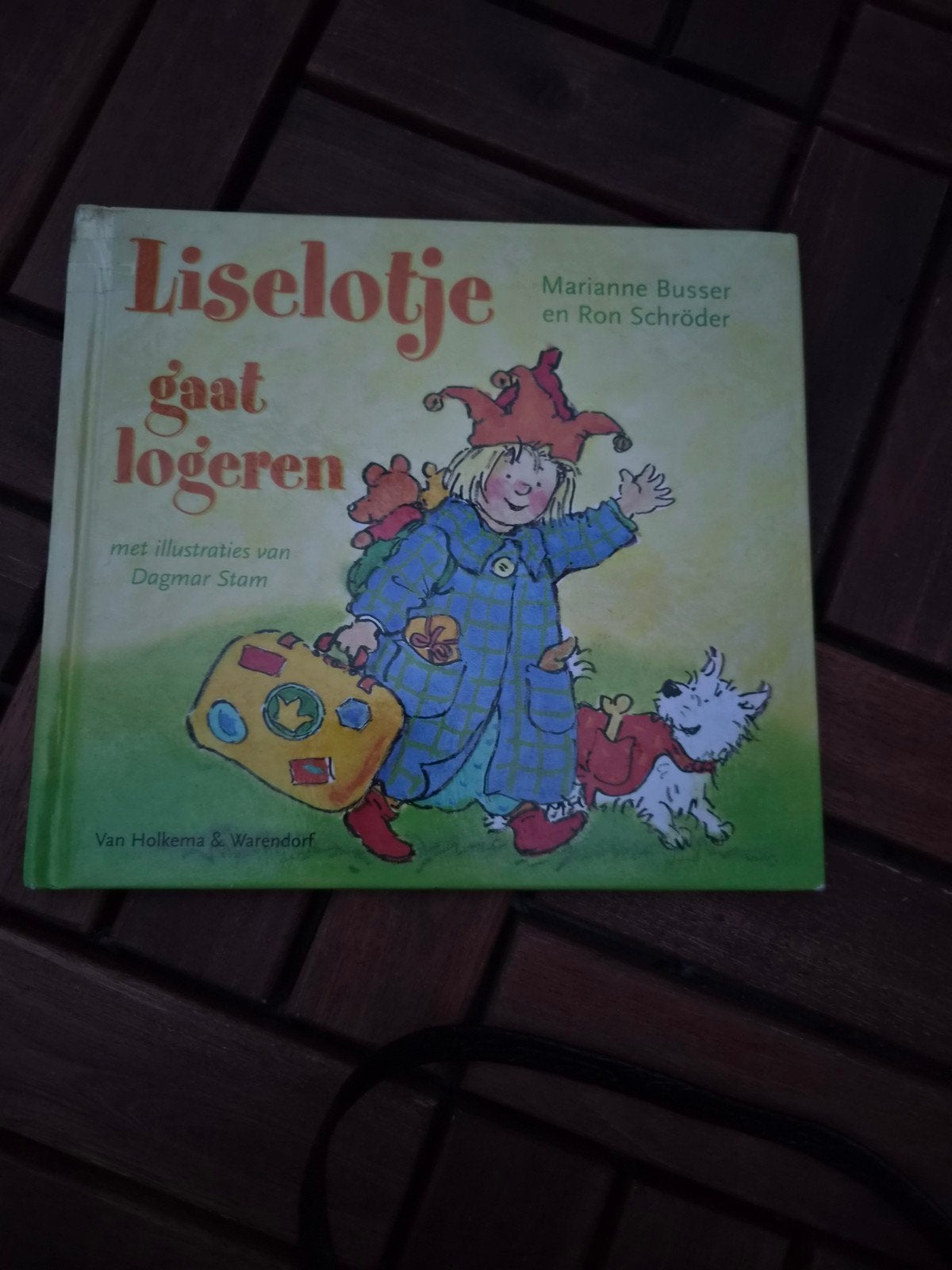 Liselotje gaat logeren - Marianne Busser & Ron Schröder, Boeken, Ophalen of Verzenden, Gelezen, Marianne Busser en Ron Schröder