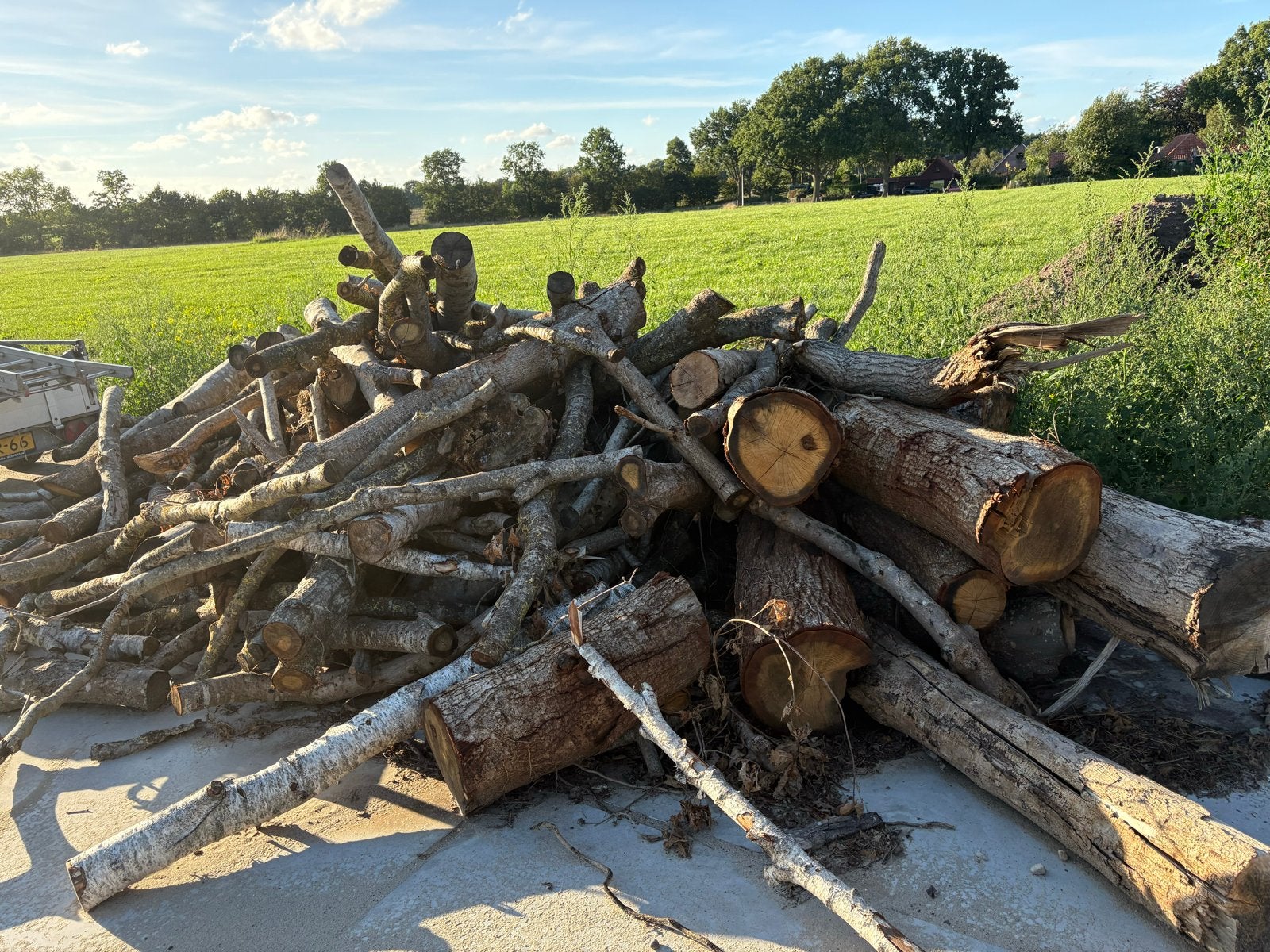 Haardhout stammen, Tuin en Terras, Haardhout, 6 m³ of meer, Ophalen, Overige houtsoorten, Stammen