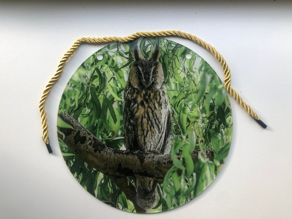 Raamhanger ransuil - uil, Nieuw, Ophalen of Verzenden, Kunststof, 20 cm