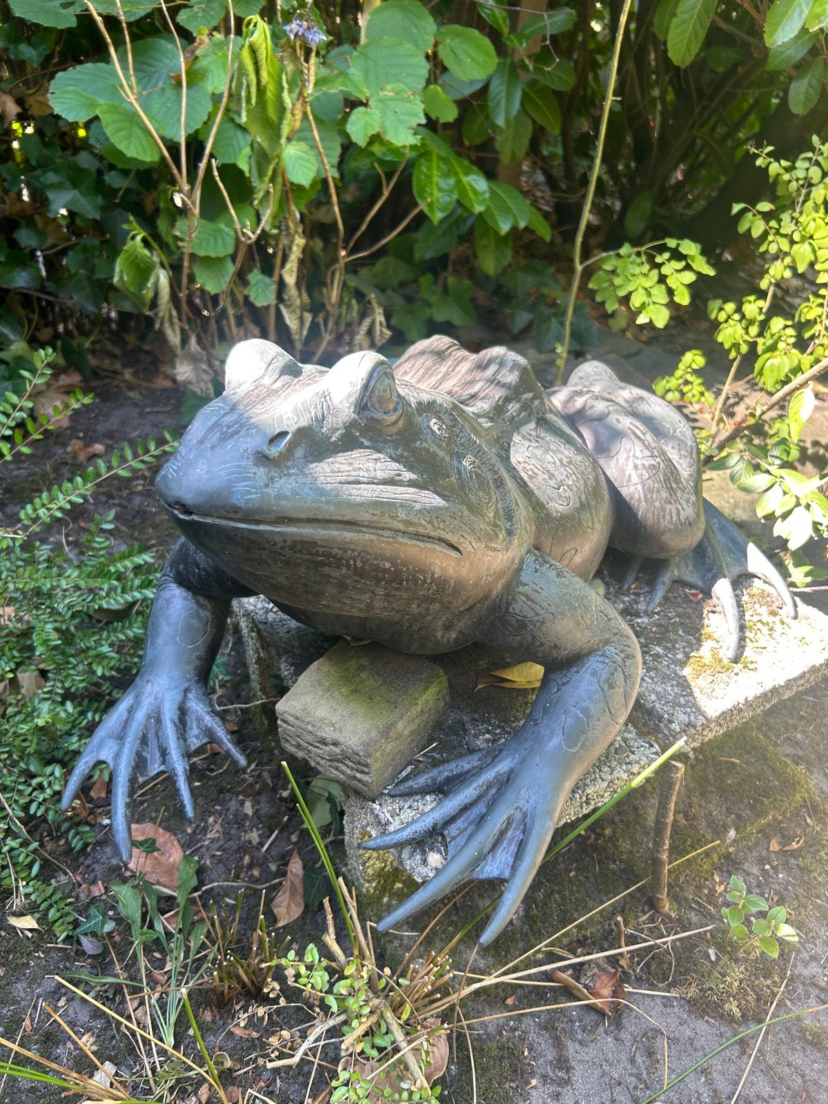Grote bronzen kikker tuindecoratie 60 x 50 x 35 cm., Ophalen, Gebruikt, Overige materialen, Dierenbeeld