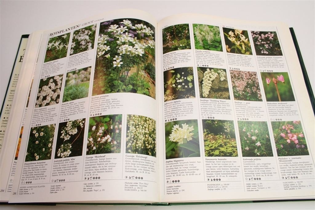Atrium Tuinplantenencyclopedie — Hét Standaardwerk, Boeken, Ophalen of Verzenden, Gelezen, Interieur en Design