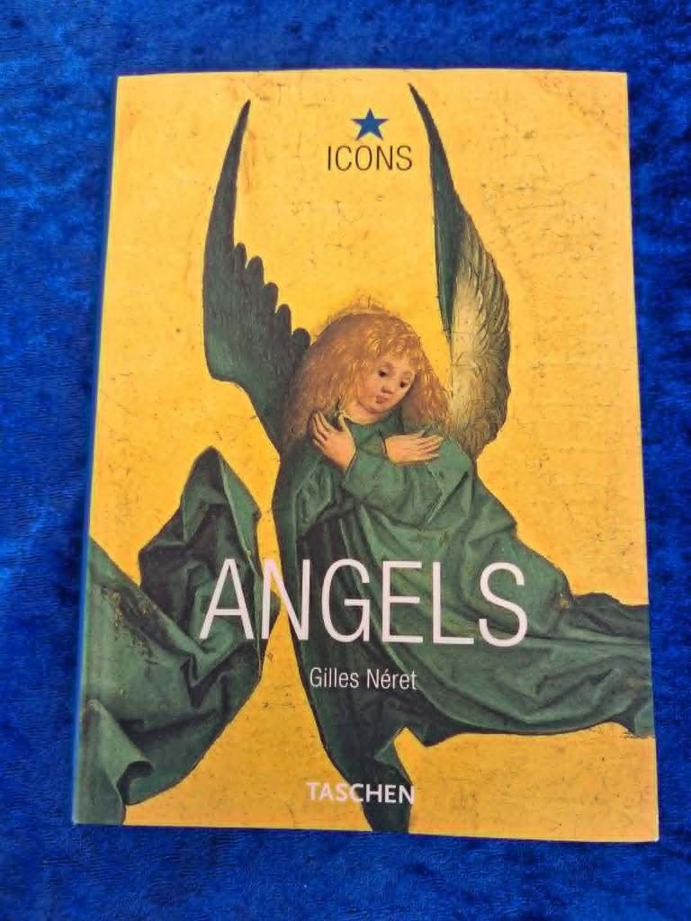 Boek Angels, Ophalen of Verzenden, Nieuw, Spiritualiteit algemeen, Overige typen
