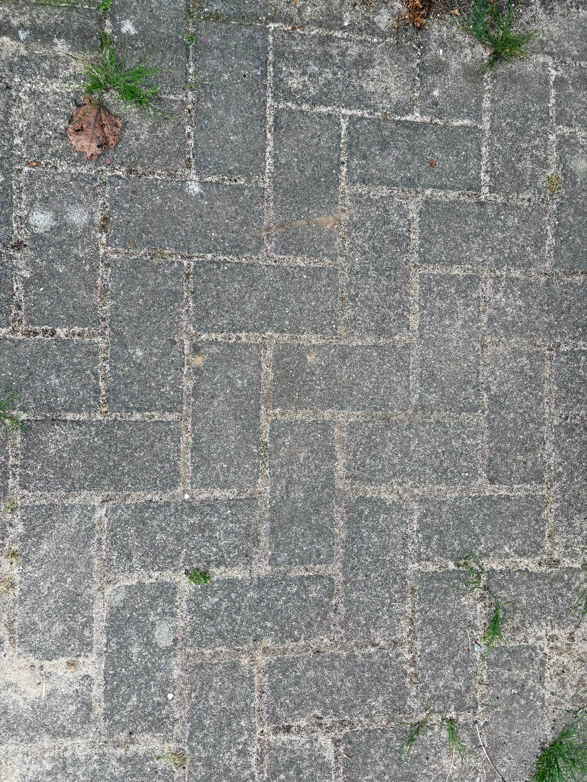 Betonstraatstenen, Tuin en Terras, Tegels en Klinkers, Ophalen, Gebruikt, Klinkers, 10 m² of meer