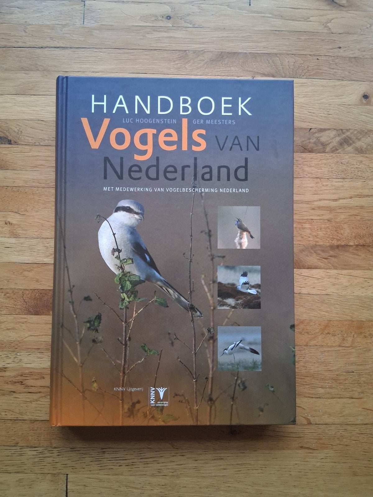 Handboek vogels van Nederland een echt vogelboek veel foto's, Luc Hoogenstein, Ophalen of Verzenden, Zo goed als nieuw, Vogels