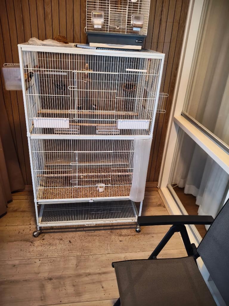 volière met vogels, Ophalen, Zo goed als nieuw, Aluminium, Volière