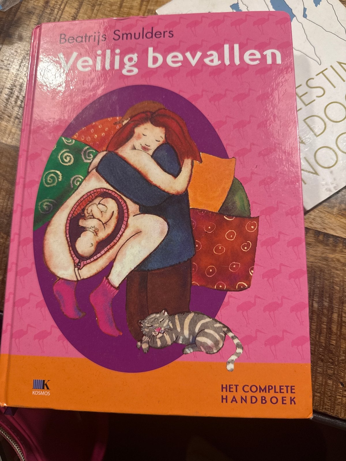 Veilig bevallen - Het complete handboek, Ophalen of Verzenden, Zo goed als nieuw, Zwangerschap en Bevalling