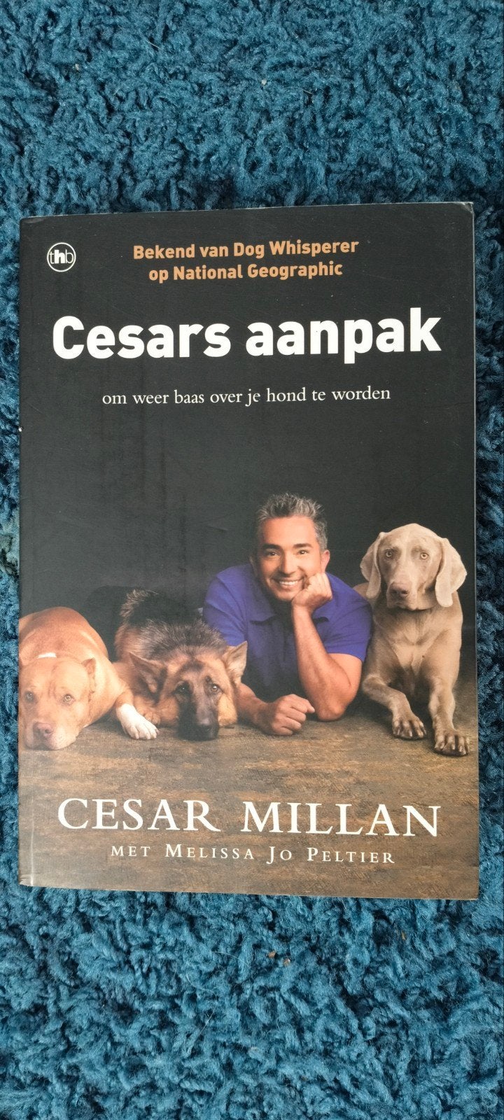 Cesars aanpak!, Boeken, Dieren en Huisdieren, Ophalen of Verzenden, Honden