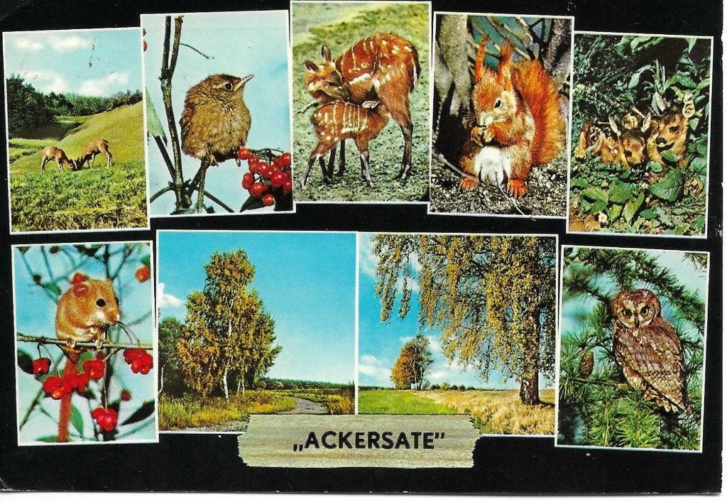 Voorthuizen- -9.luik., Ophalen of Verzenden, 1960 tot 1980, Gelopen, Gelderland