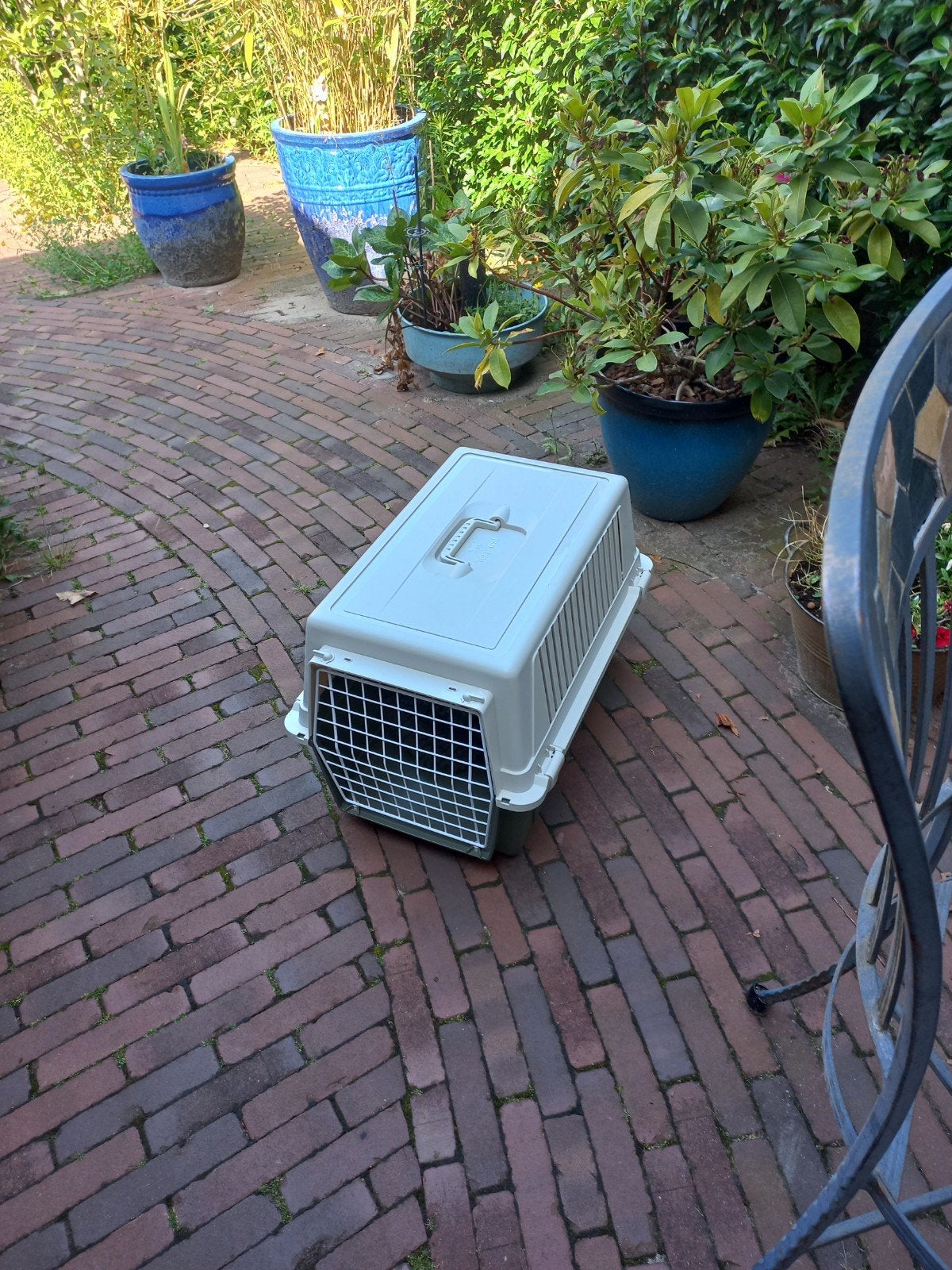 Dieren reis benche, Dieren en Toebehoren, Hondenbenches, Ophalen, Nieuw