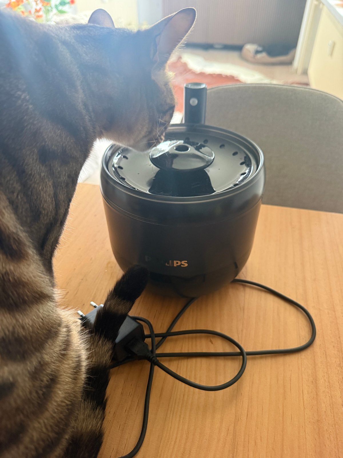Paw 3210 waterfontein kat, Dieren en Toebehoren, Kattenvoerbakken en Drinkbakken, Ophalen of Verzenden, Zo goed als nieuw