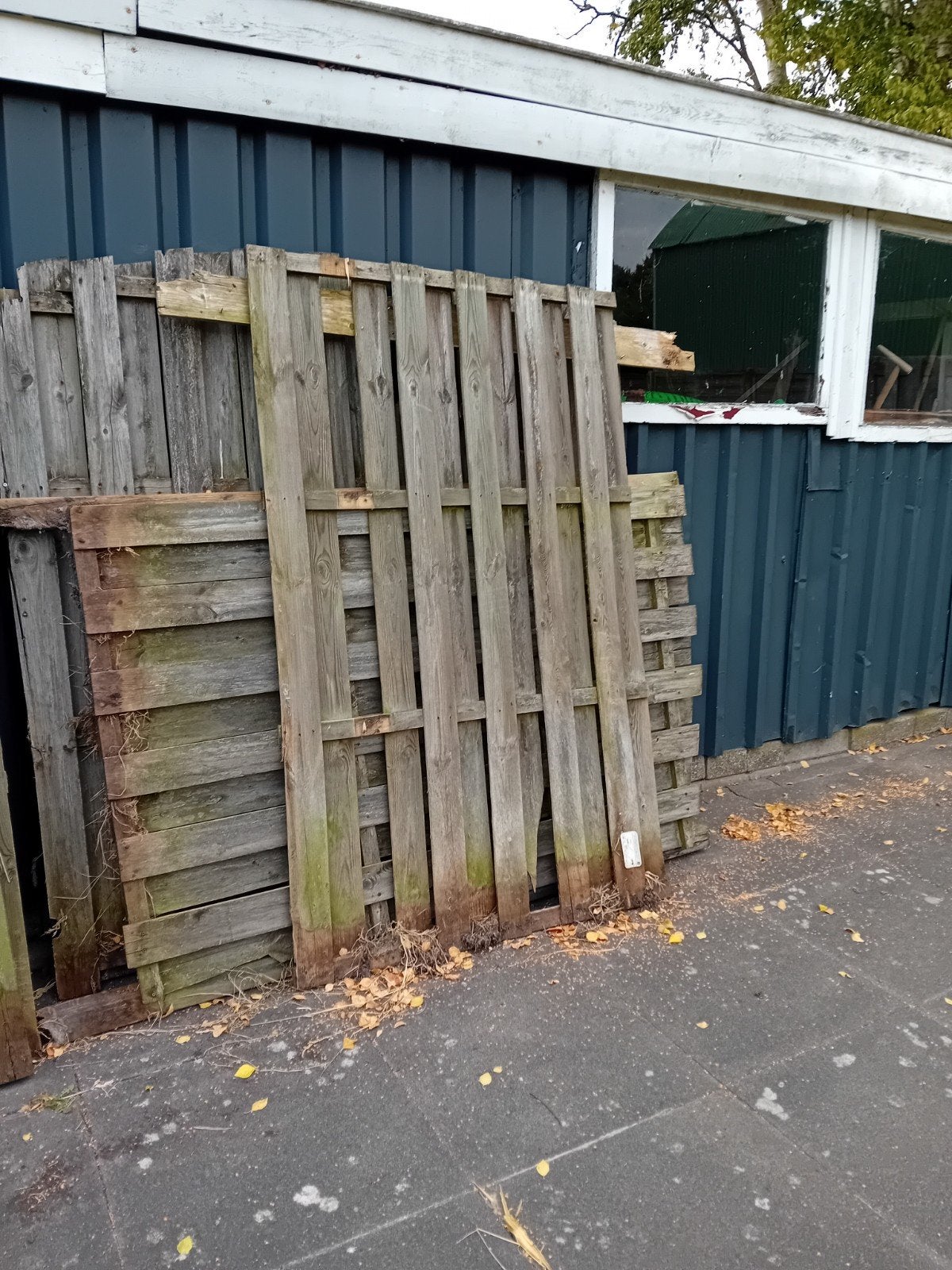 gratis 5 schuttings, Ophalen, Minder dan 3 meter, Hout, 1 tot 2 meter