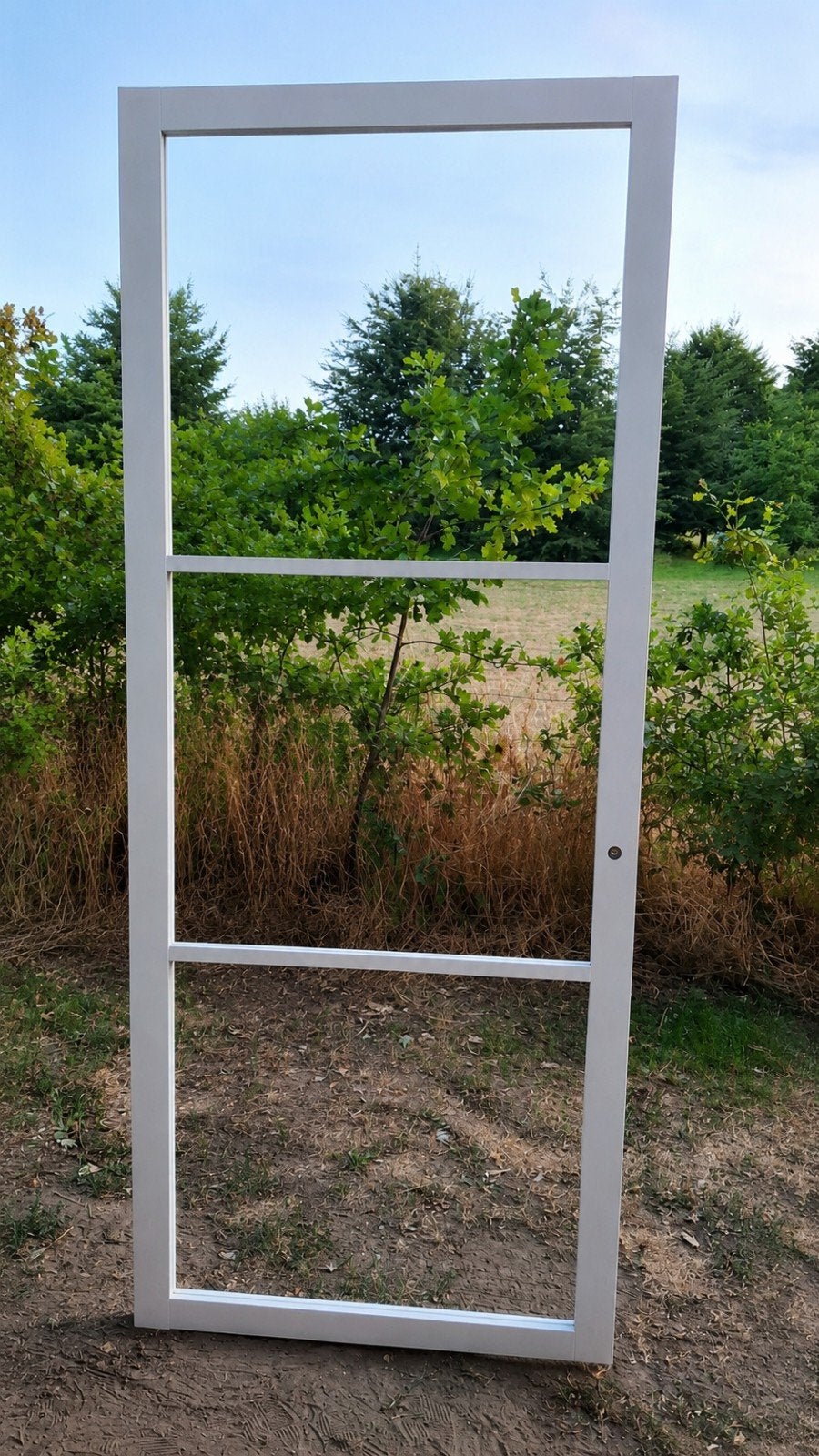 Opdekdeur met glas, Doe-het-zelf en Verbouw, Deuren en Horren, 80 tot 100 cm, 215 cm of meer, Binnendeur, Ophalen of Verzenden