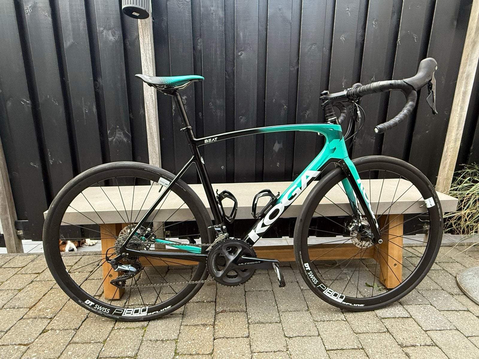 Koga Kimera carbon Racefiets Ultegra Disc Maat 56, Ophalen, 28 inch, Carbon, Heren