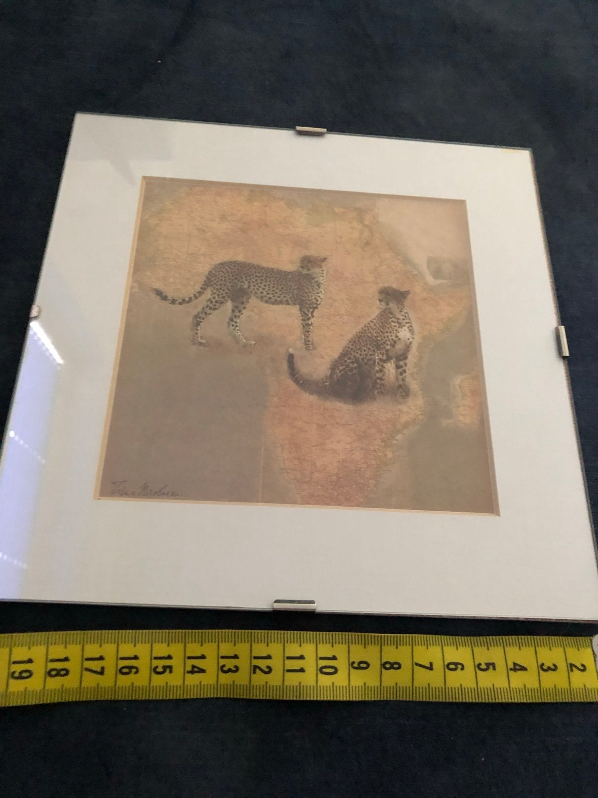 Mooie prent van cheeta's in passe-partout en glas, Antiek en Kunst, Kunst | Tekeningen en Foto's, Ophalen, Print, Prent, Achter glas