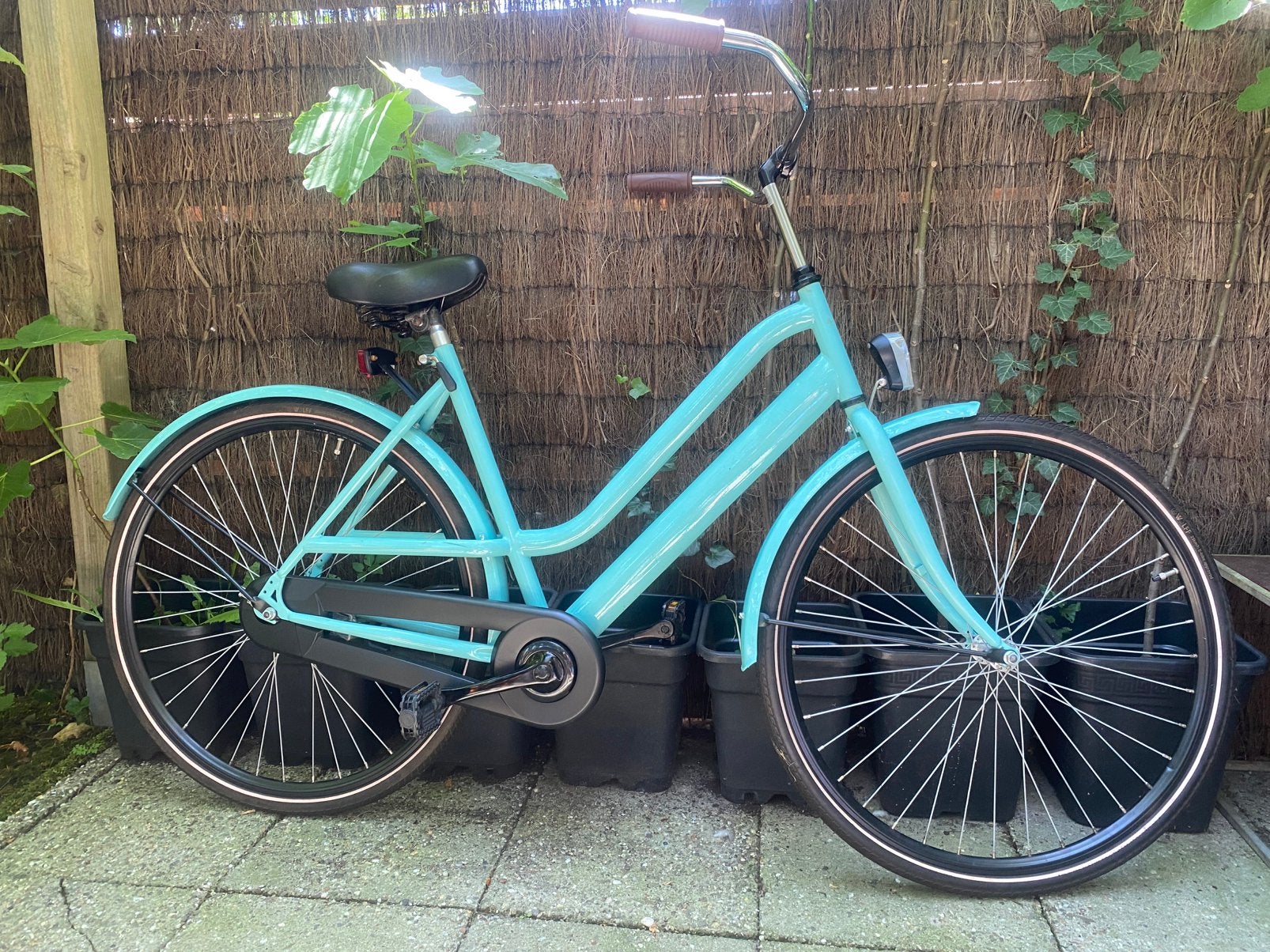 Stevige 28 inch damesfiets met terugtraprem, Terugtraprem, 53 tot 56 cm, Zo goed als nieuw, Ophalen
