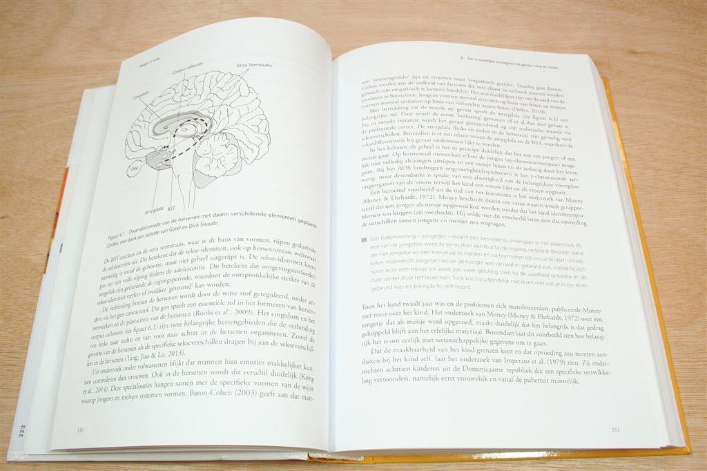 Meisjes in Zorg — Handboek voor Hulp en Preventie, Ophalen of Verzenden, Gelezen