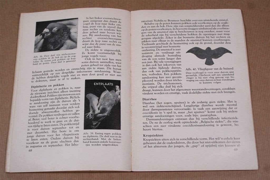 De postduif — Huisvesting, verzorging, teelt... 1958, Boeken, Ophalen of Verzenden, Gelezen, Vogels