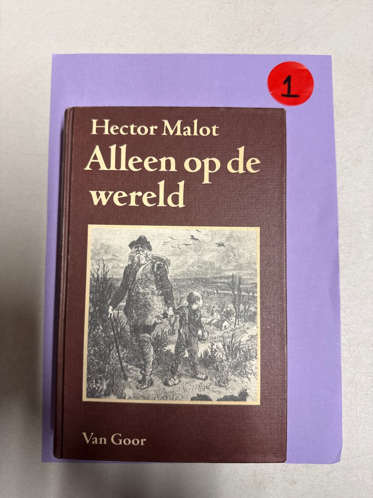 Alleen op de wereld - Hector Malot (Van Goor), Boeken, Ophalen of Verzenden, Zo goed als nieuw, Nederland