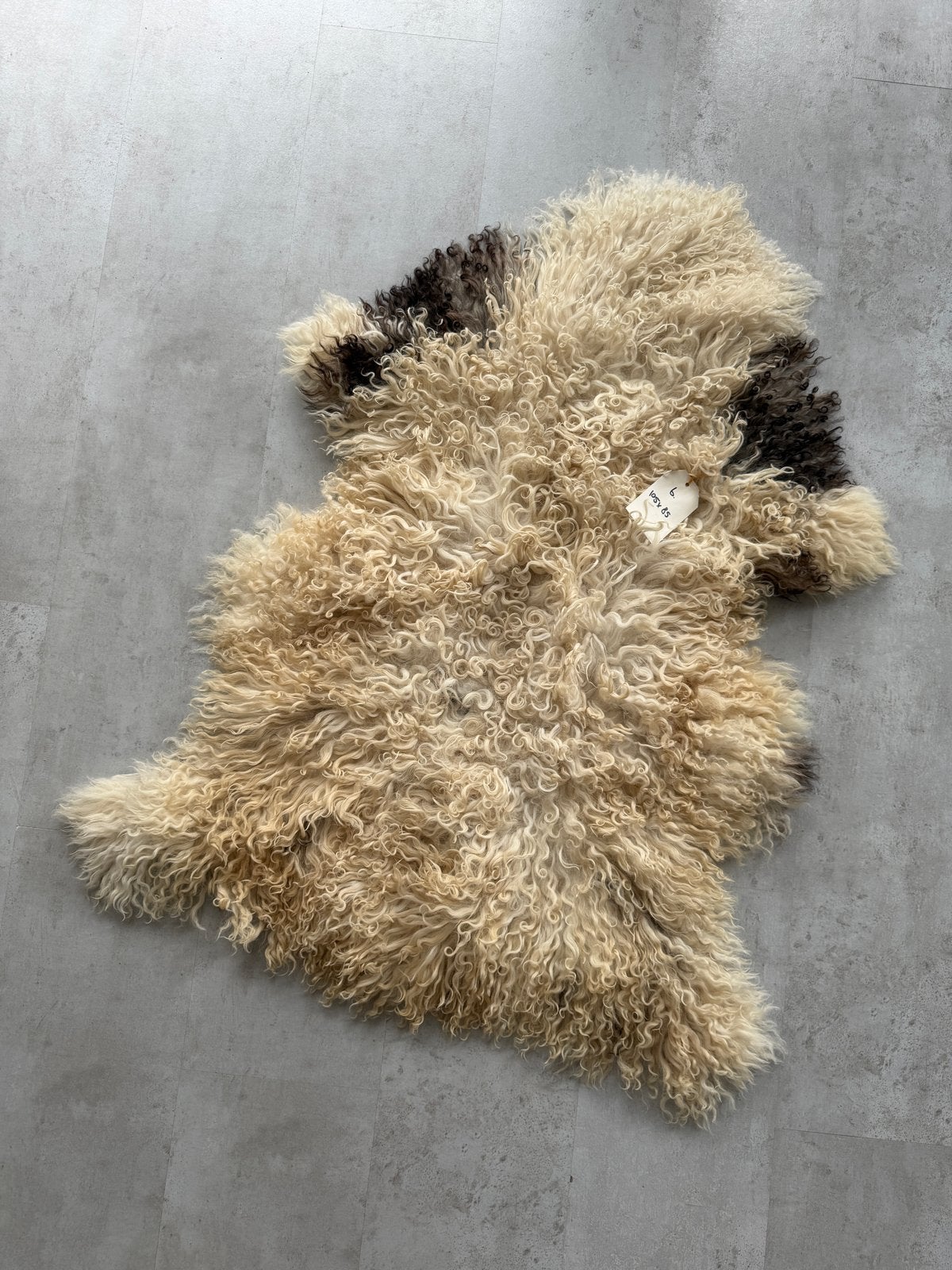 Schapenvacht vloerkleed - Crème met bruine accenten, 100 tot 150 cm, Nieuw, Crème, Overige vormen