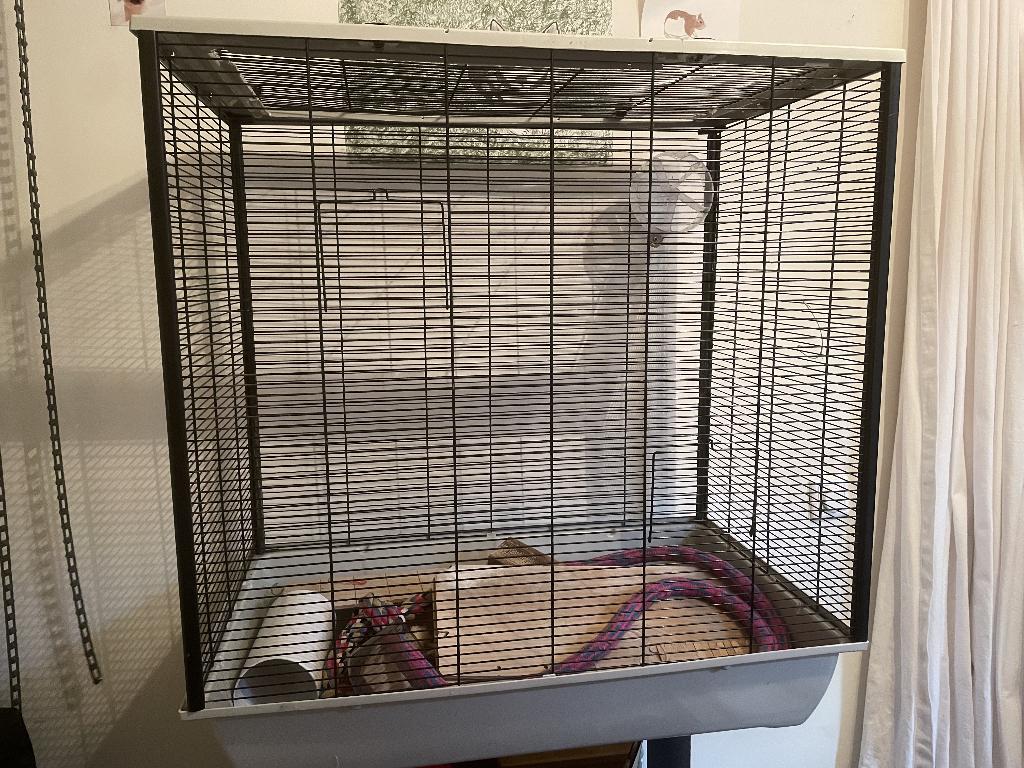 kooi voor knaagdieren zoals hamsters muizen en ratten, Kooi, Gebruikt, 60 tot 90 cm, Ophalen of Verzenden