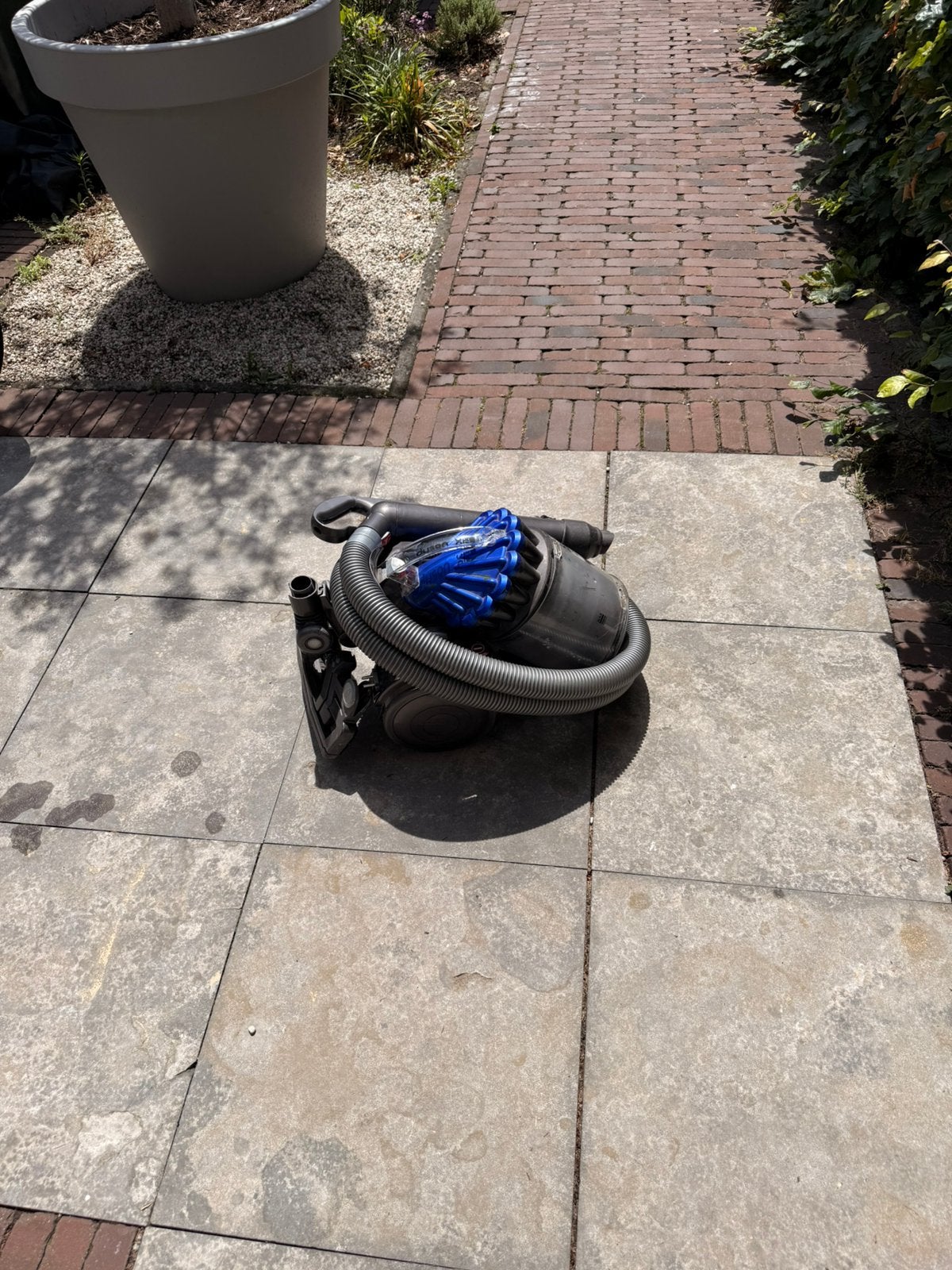 Dyson DC23 Allergy Parquet stofzuiger, Ophalen, Gebruikt, Geschikt voor harde vloeren, Dyson