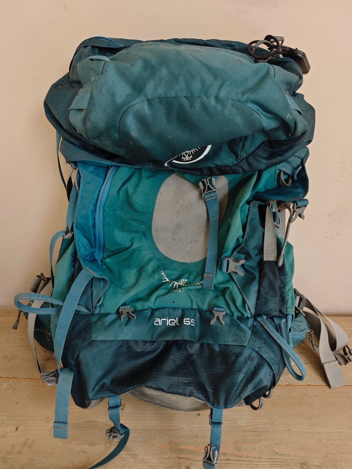 Osprey Ariel 65 Trekking Rugzak, 40 cm of meer, Gebruikt, Trekking, 60 cm of meer