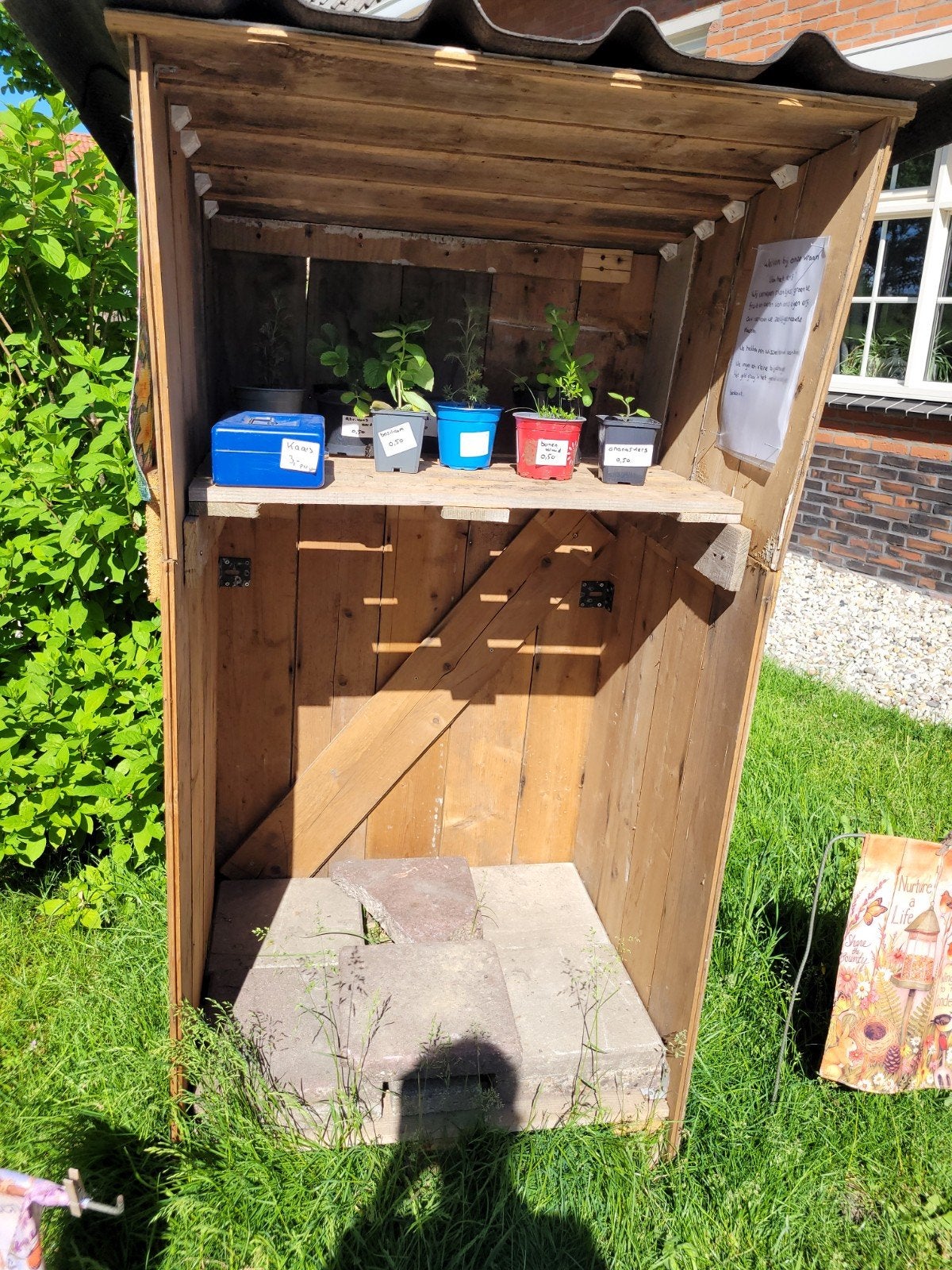Plantjes en producten uit de tuin., Ophalen of Verzenden, Volle zon