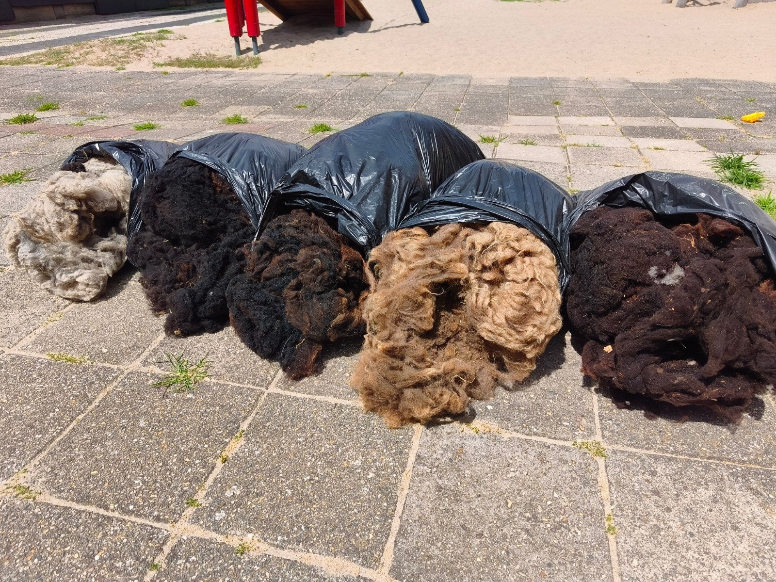 Schapenwol quessant schaapjes, Hobby en Vrije tijd, Vilt, Nieuw, Overige typen, Wolvilt, Ophalen