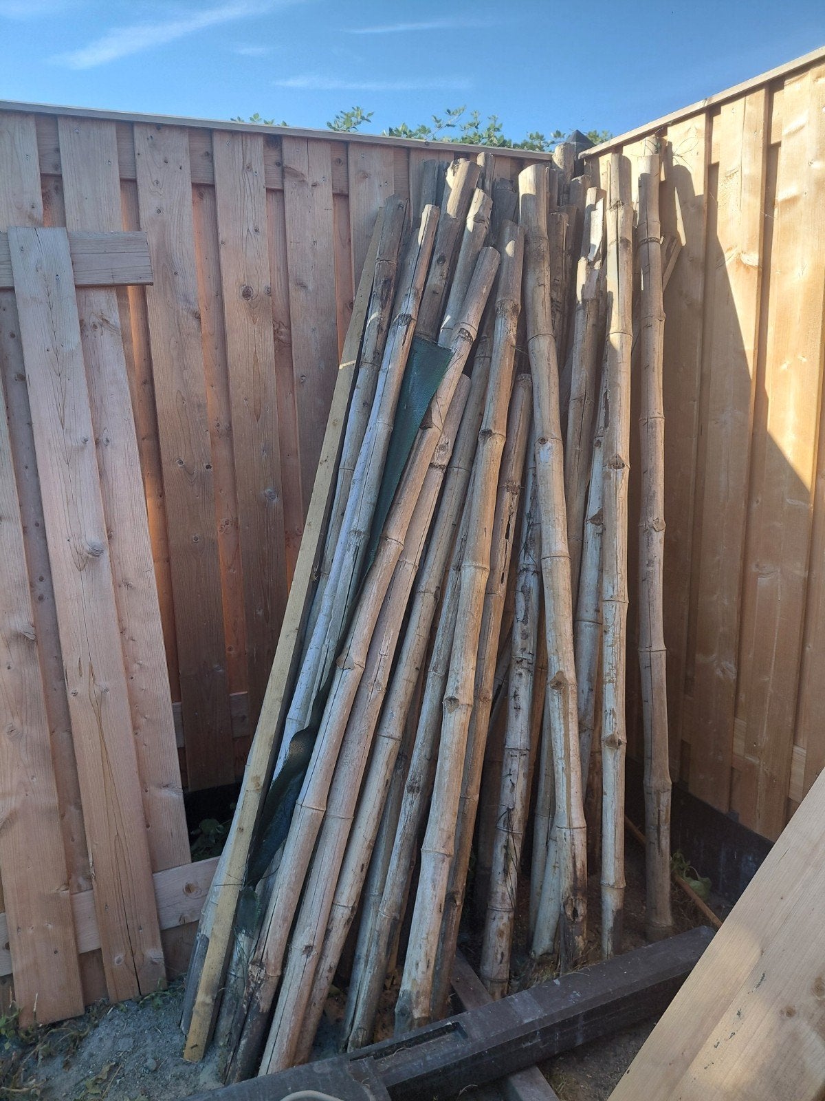 bamboe palen ongeveer 35 stuks gebruikt., Tuin en Terras, Ophalen, Minder dan 3 meter, Hout, 1 tot 2 meter