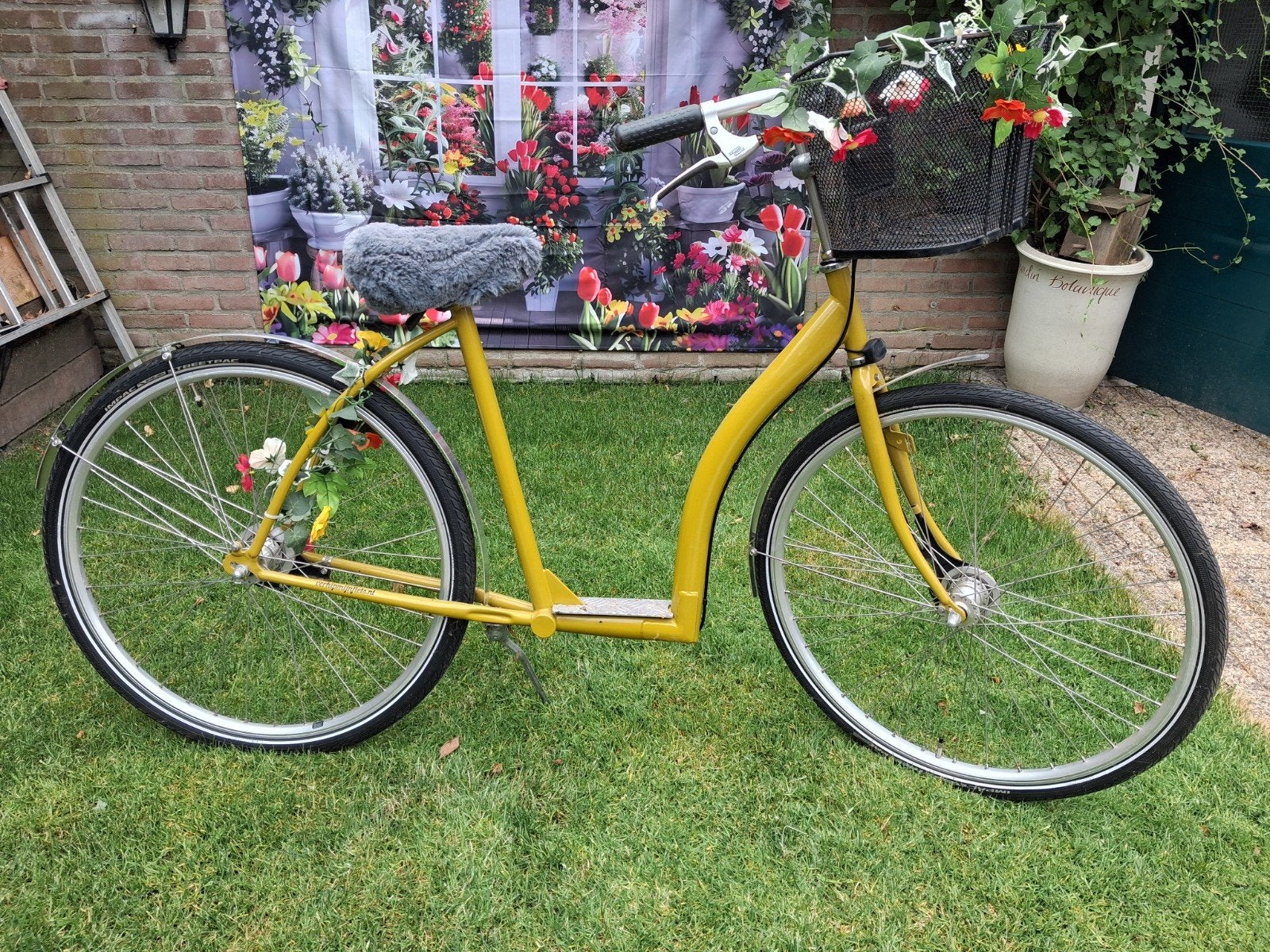 Loopfiets volwassenen