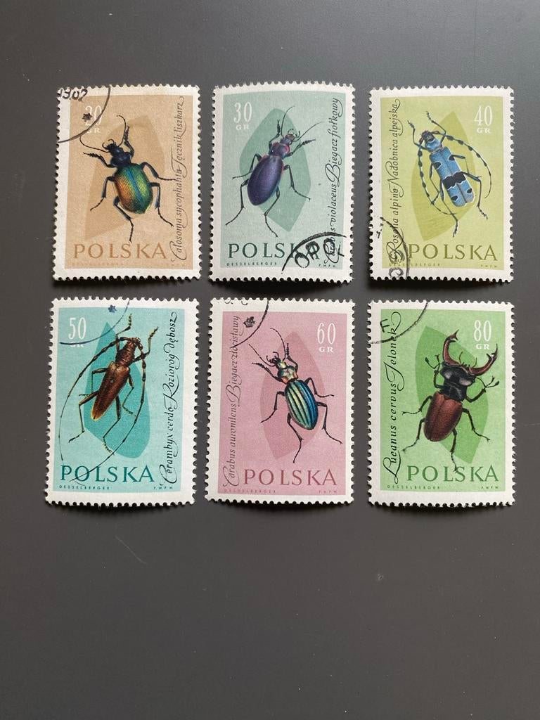 6 gestempelde postzegels Polen 1961 - Diverse kevers, Ophalen of Verzenden, Gestempeld, Dier of Natuur