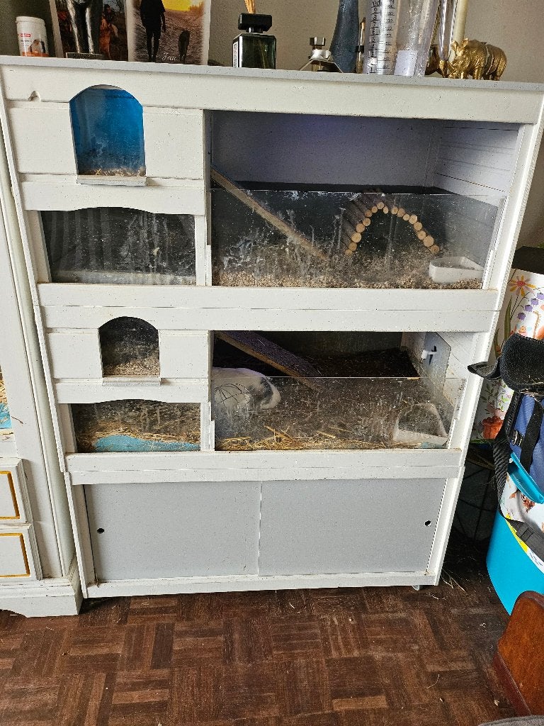 Caviaflat, Dieren en Toebehoren, Ophalen, Gebruikt, Minder dan 75 cm, 90 cm of meer