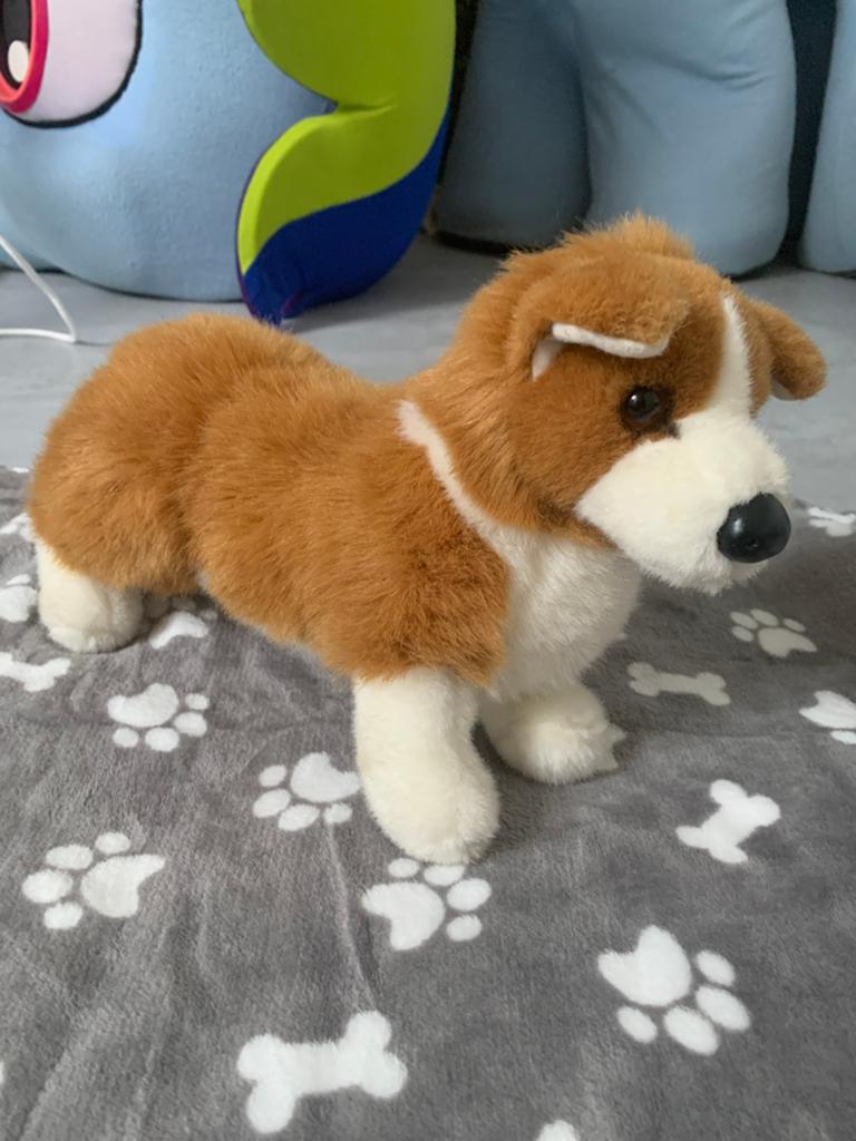 SUPER RARE douglas cuddle toy corgi dog essa retired, Kinderen en Baby's, Speelgoed | Knuffels en Pluche, Overige merken, Overige karakters