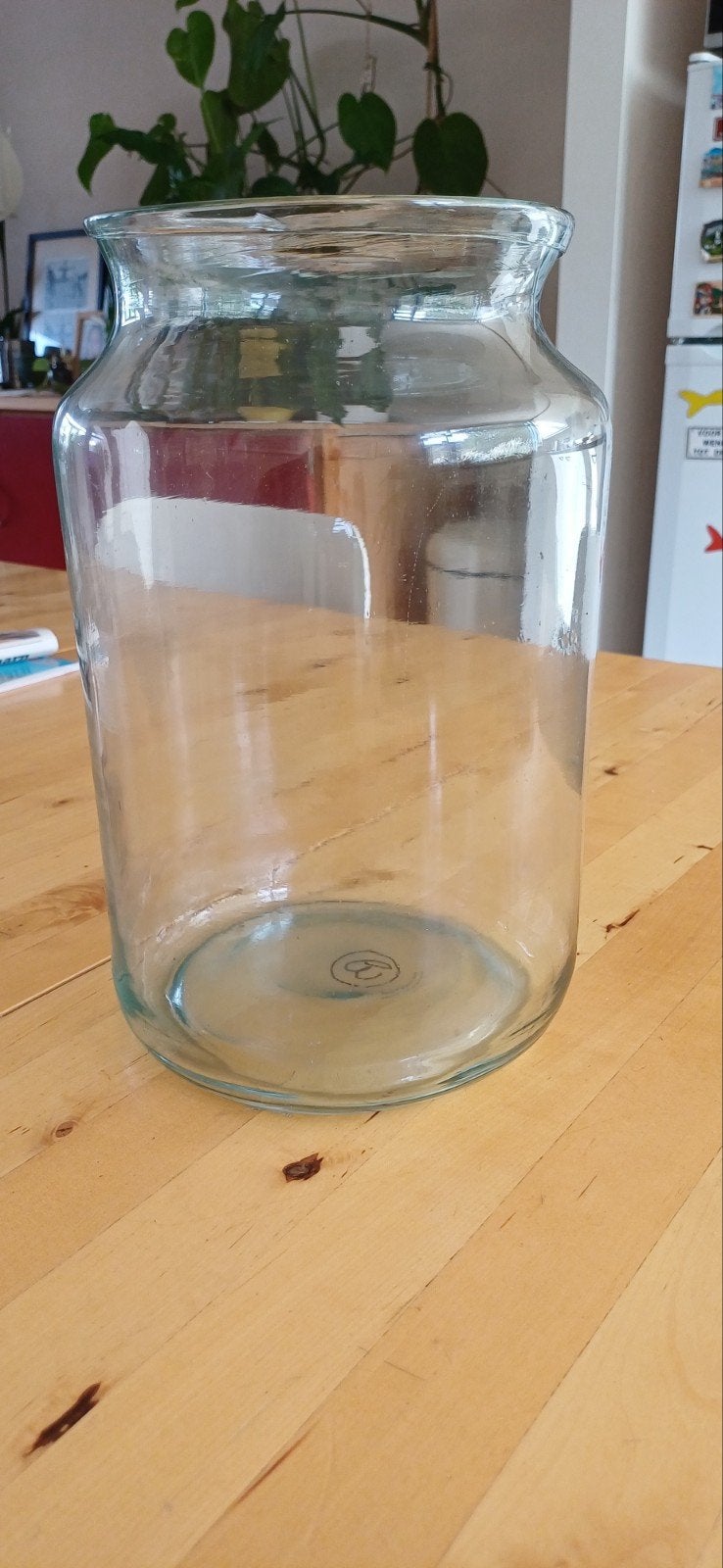 Grote glazen pot van Bloomon, Ophalen of Verzenden